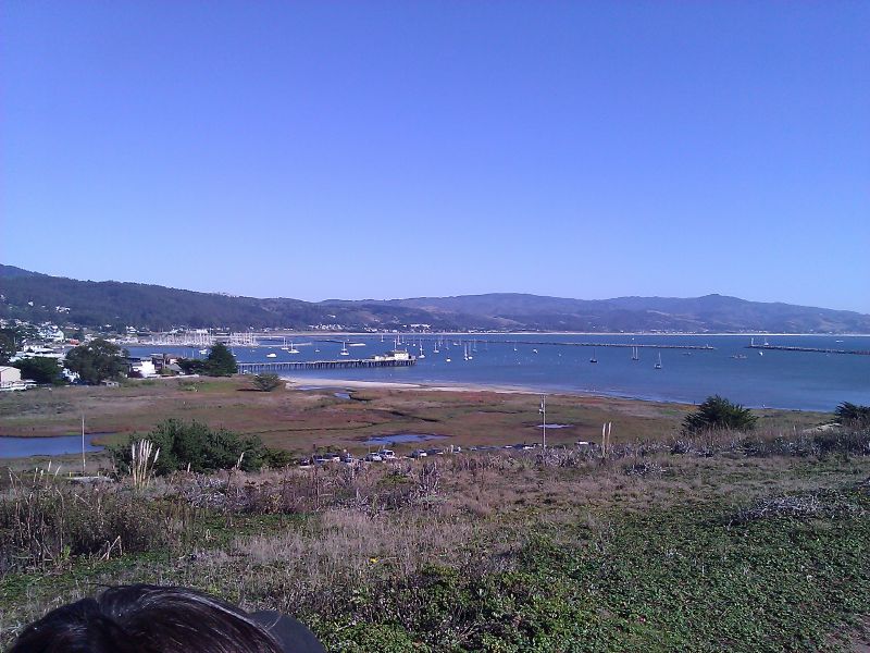 Half Moon Bay harbor ...