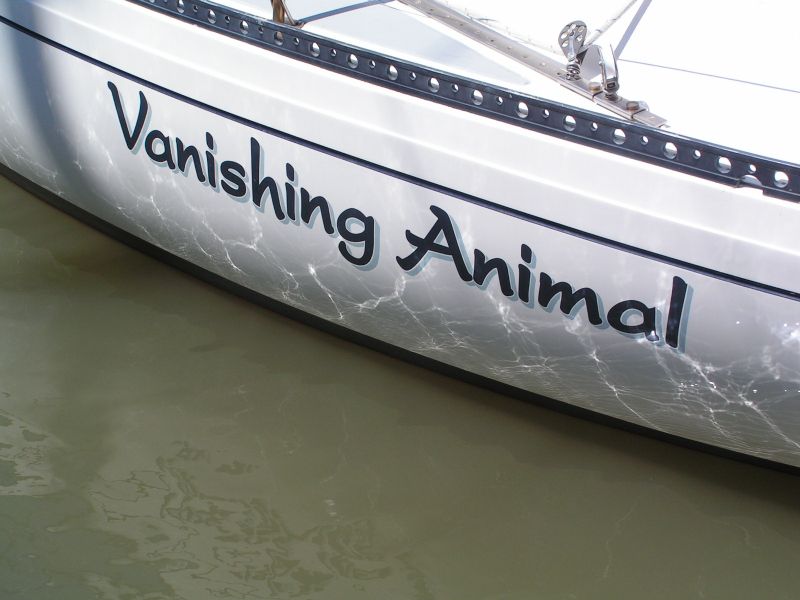 <I>Vanishing Animal</I>...