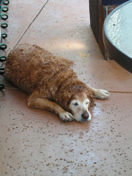 Cooling off time