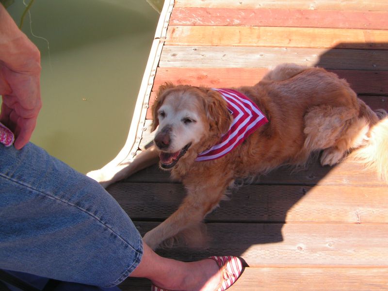 Teak likes shade.