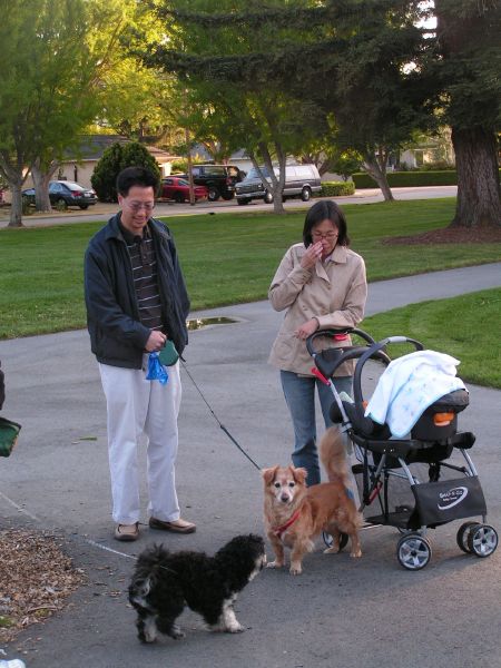 Daisy brings Cheng family