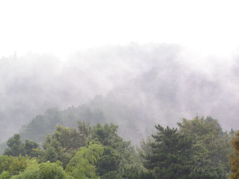 Misty hills ...