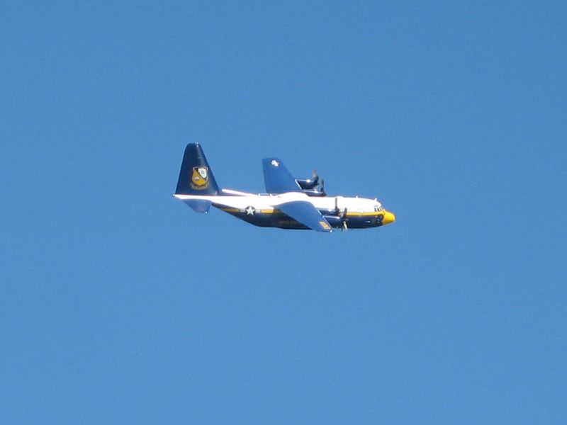 Fat Albert