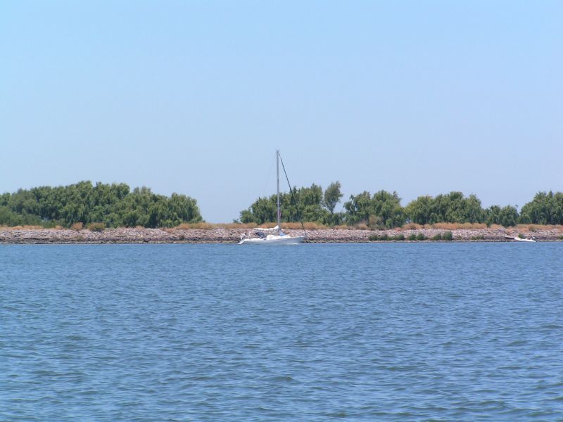 <I>Tacoma Blue</I> leads<BR>into Mandiville