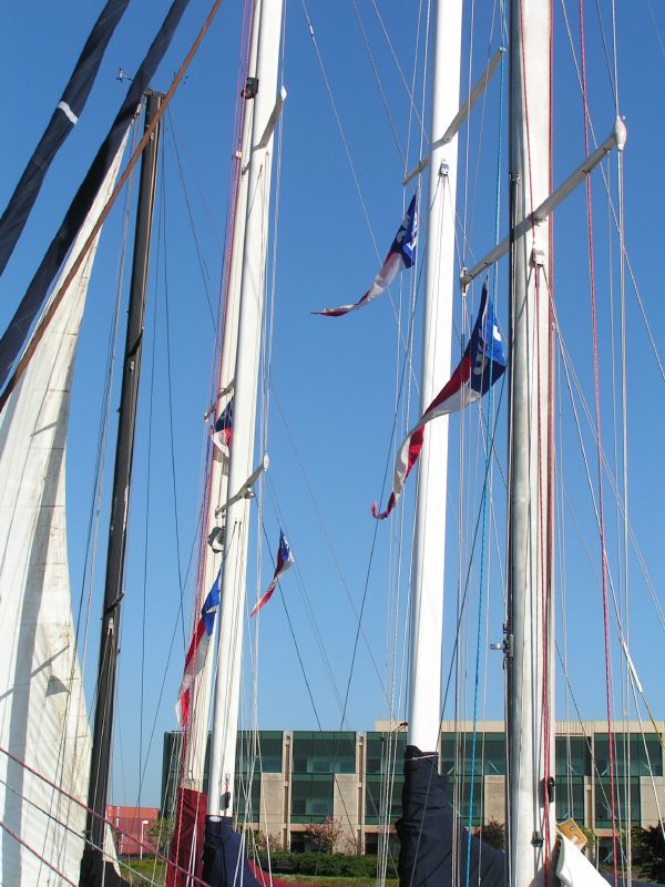 flags flying