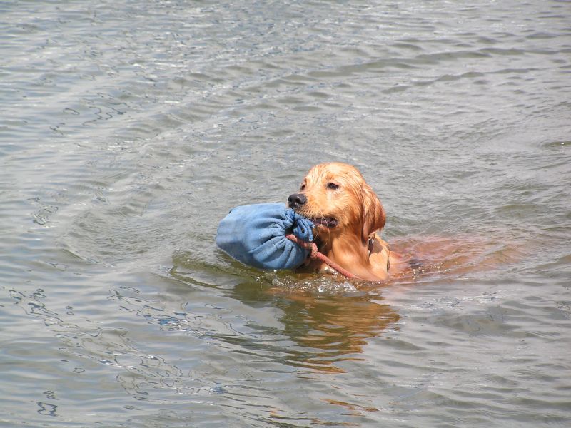 Tucker rescues a fender ...