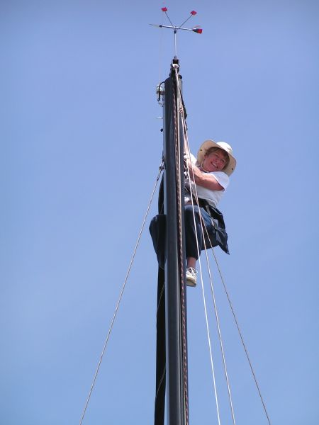 Getting the wind vane