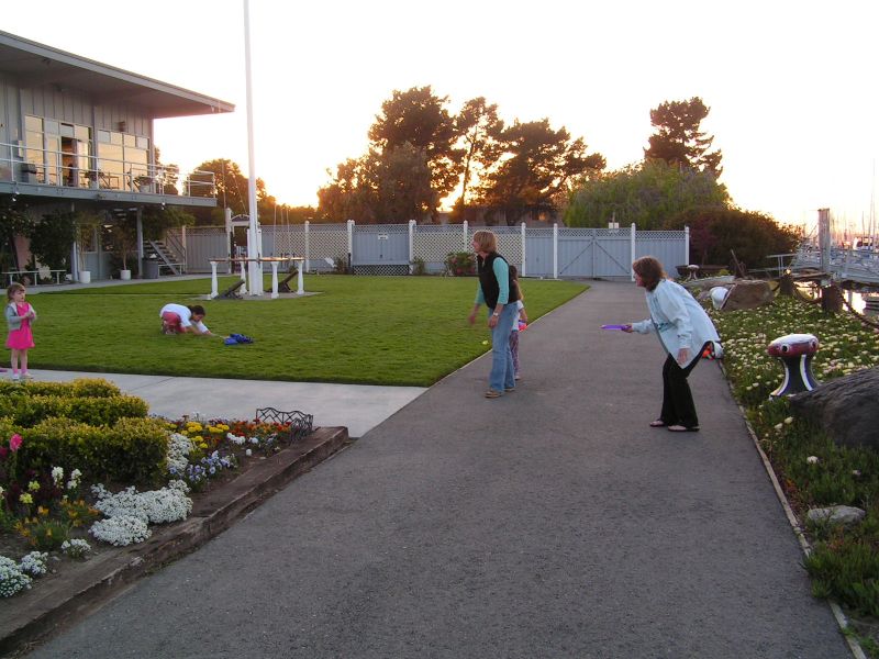 Frisbee fun ...