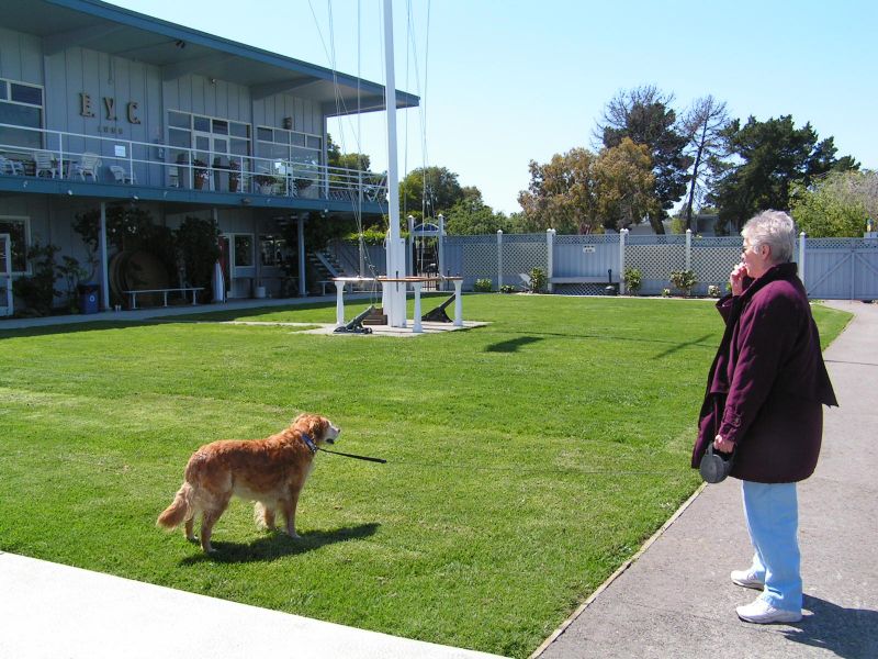 Teak sniffs the air