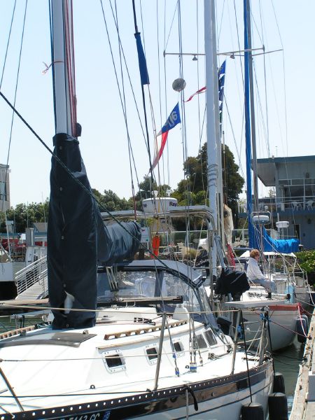 flags flying ...