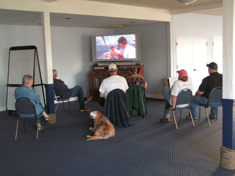 Some of the audience ...