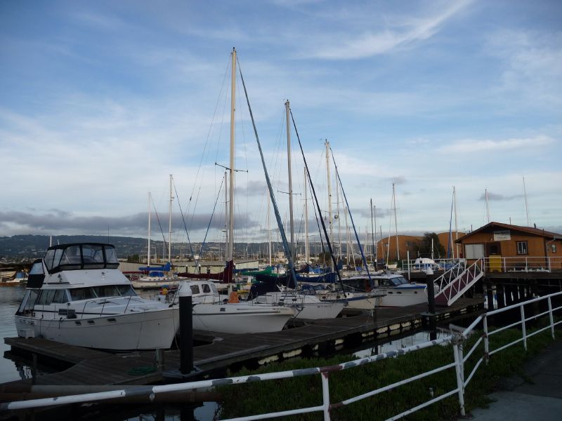 At Alameda Marina ...