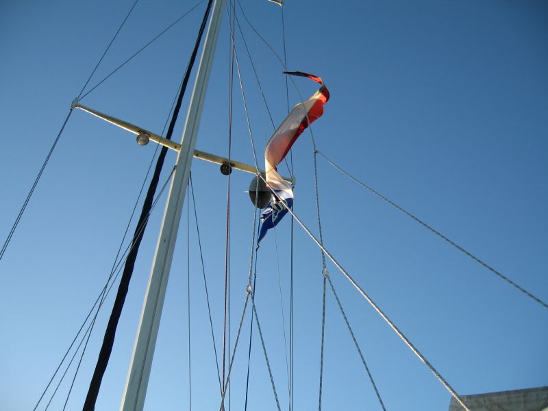 Burgee flies