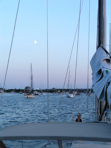 Evening moon