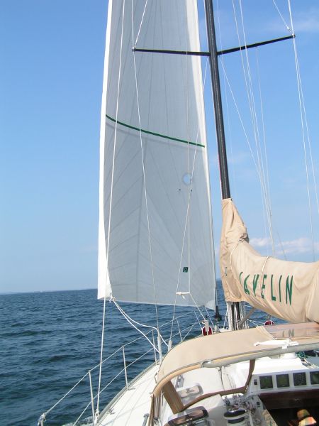 Jib set in Buzzards Bay