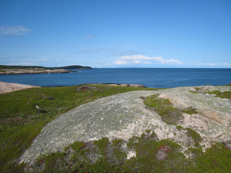 rocky coast ...