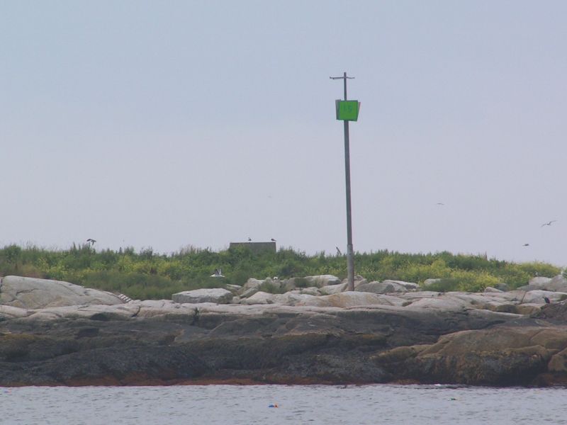 a Puffin scantuary ...