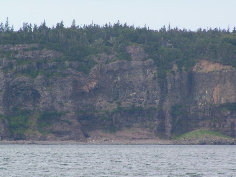 Birds on cliffs