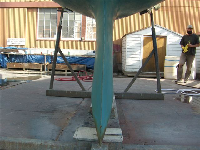 Diana 1
