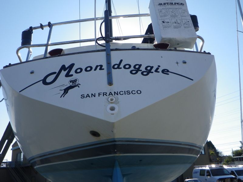 Moondoggie (ex Tomcat)