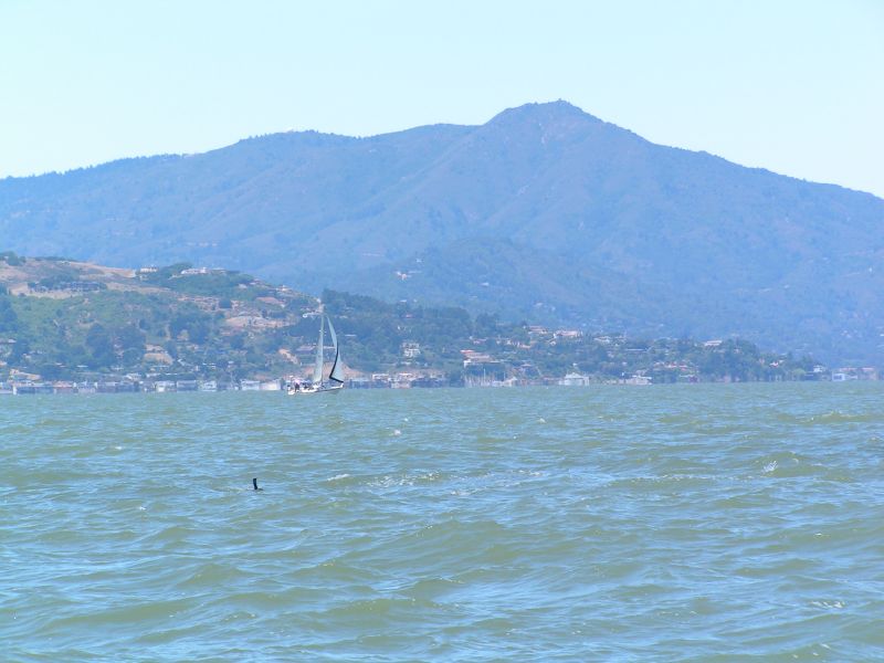 Mount Tamalpias