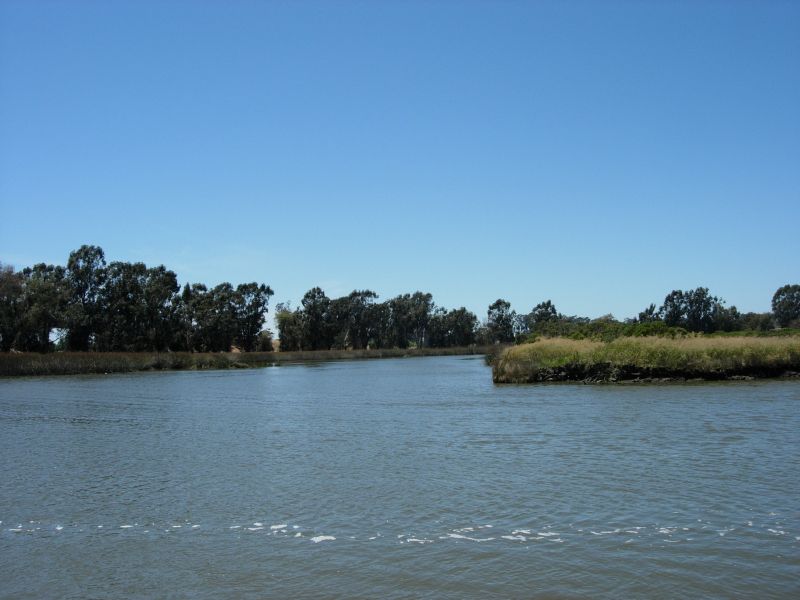 and sloughs ...