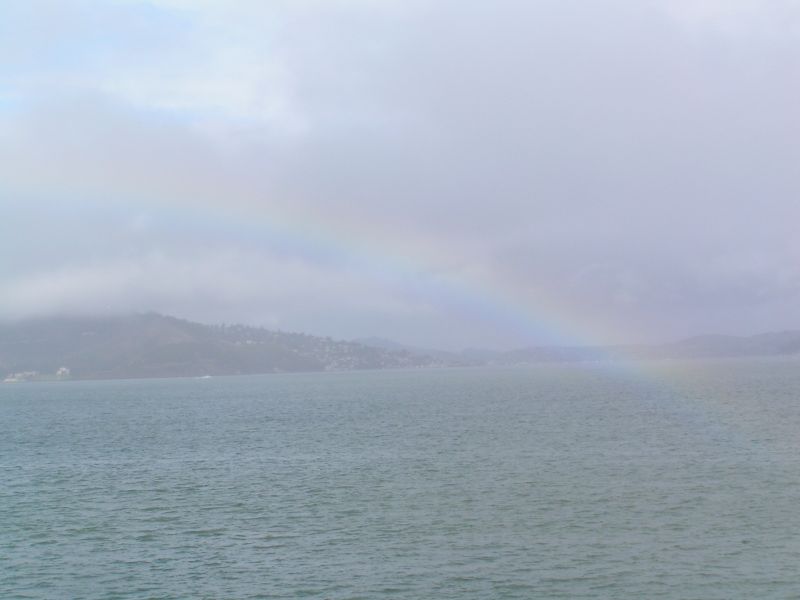 Rainbow shower   ...