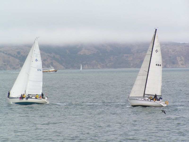 Fog on Angel Island