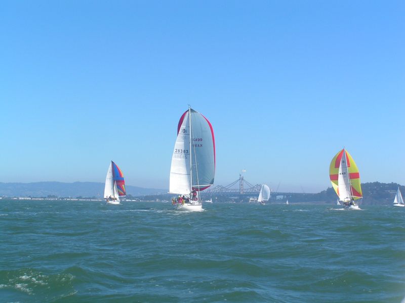The 4 Spinnakers