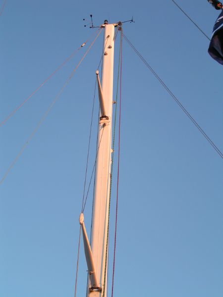 mast in the sun.