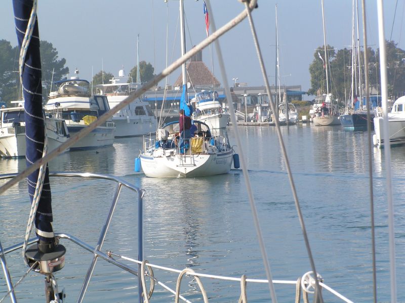 crowded harbor ...