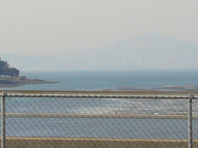 Low tide at Harbor Bay