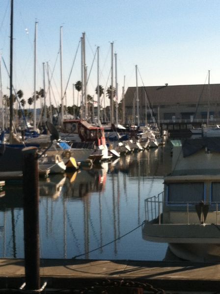 Fortman Marina