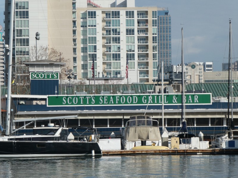 Scotts Seafood ...