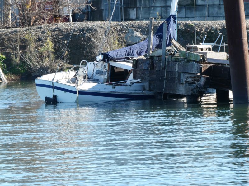 High tide crush!