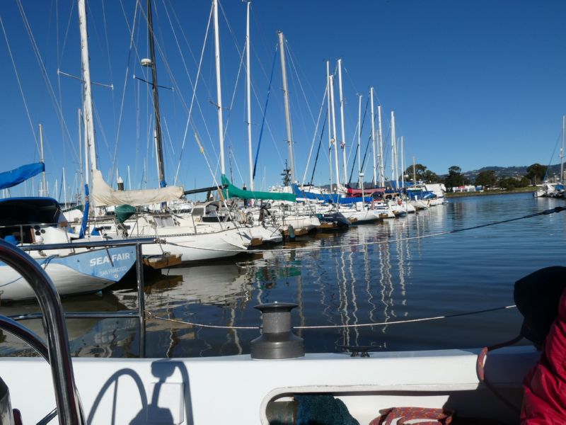 Back at<br> Alameda marina.