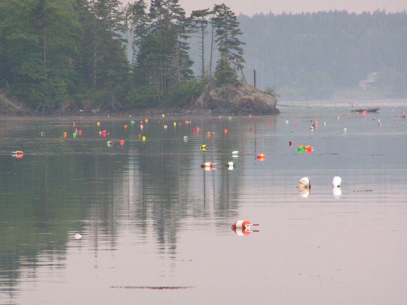 lobster pots.