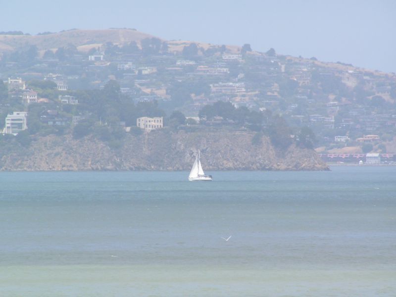 Windy towards Tiburon.