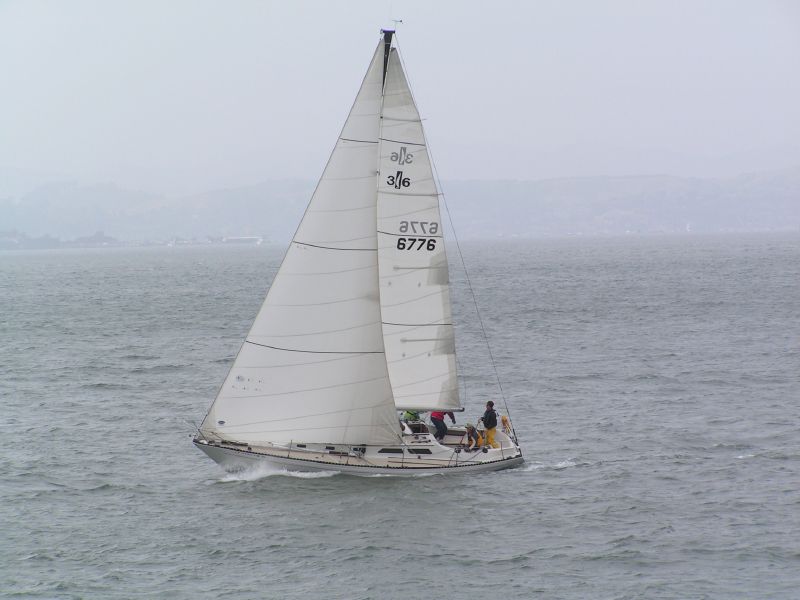 <I>Tom Cat</I> wins 2nd race