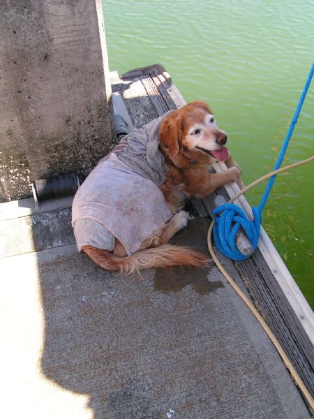 Keeping cool