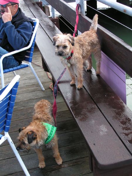 Dock watchers