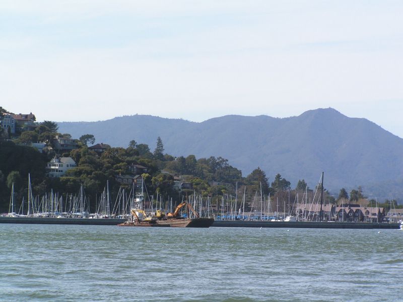 SFYC harbor.