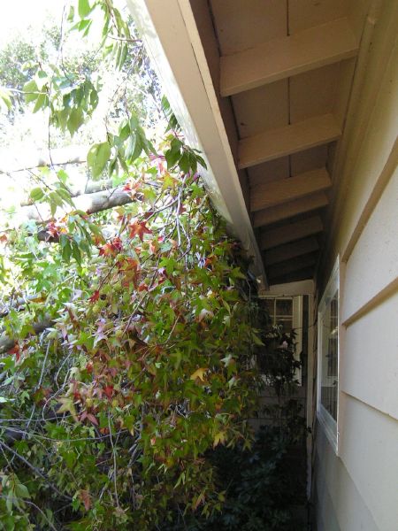 Along garage toward<BR>front door