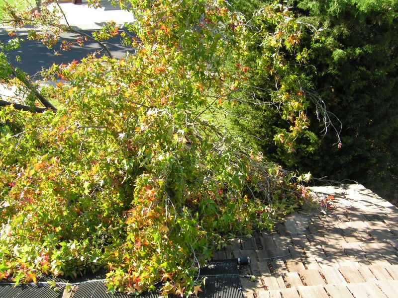 Bent gutter under<BR>this branch