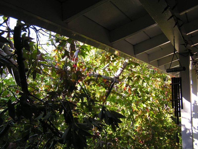 View out porch