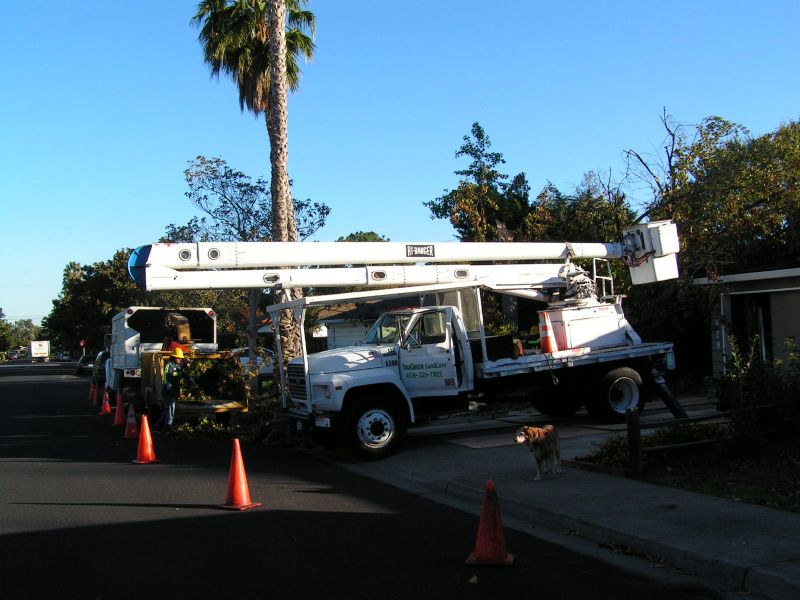 Bucket truck