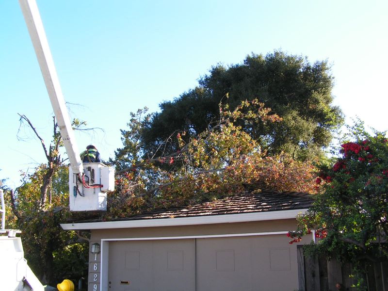 Roof clearing