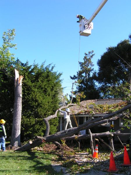 Cutting last on roof ...