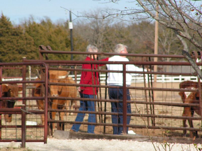 round up crew ...