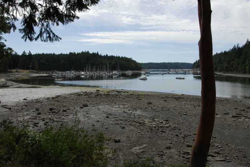 Low tide at Telegraph Harbor